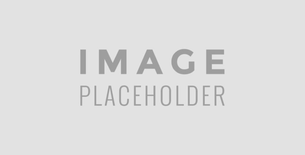 31409932